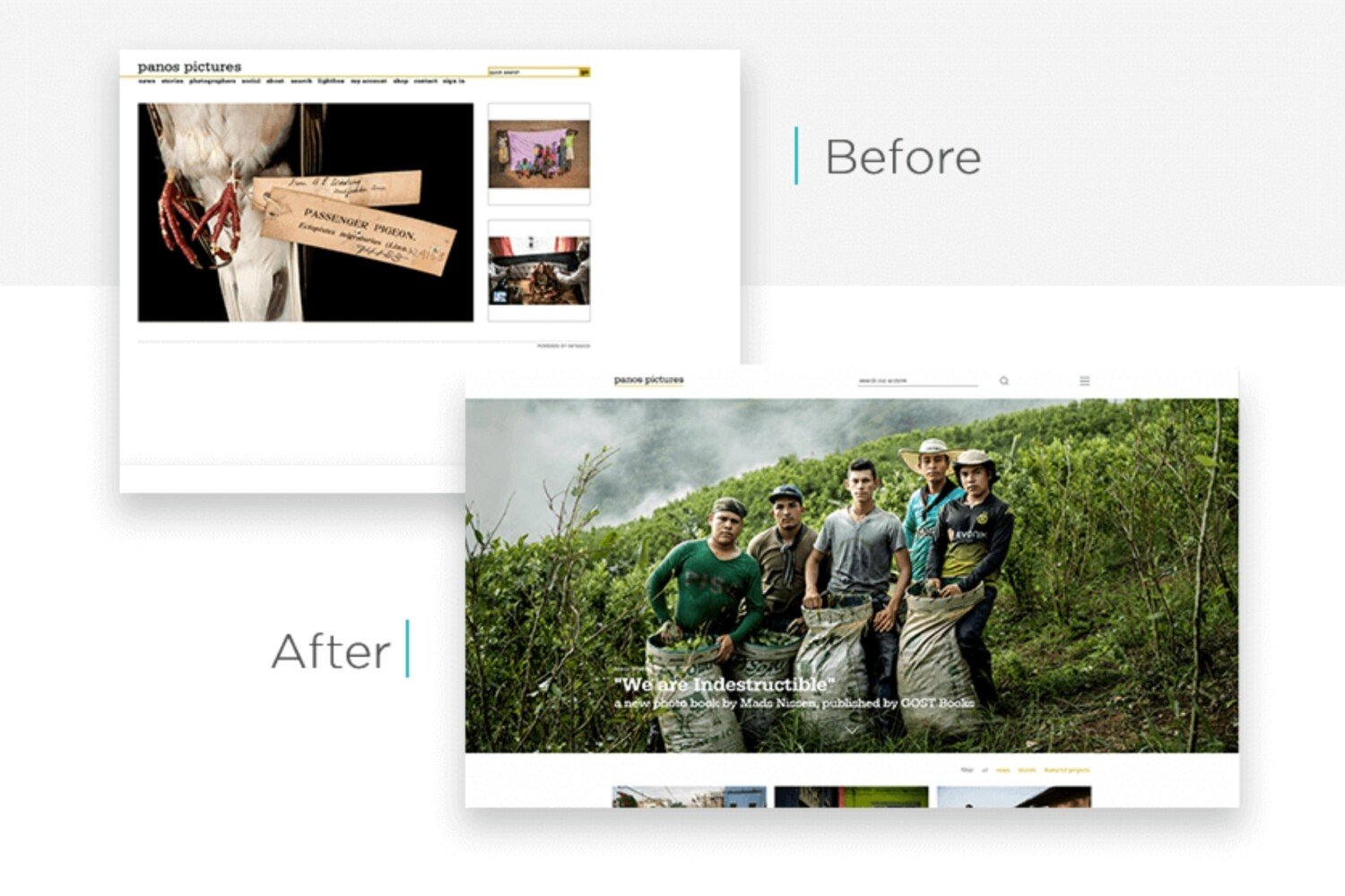 Website renovation red flags - Ānything Marketing