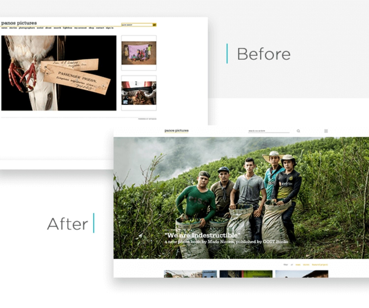 Website renovation red flags - Ānything Marketing