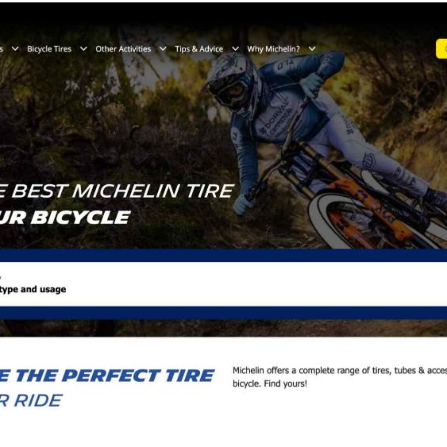Michelin France e-commerce and market deployment project by Anything Marketing