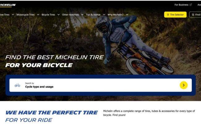 Michelin France e-commerce and market deployment project by Anything Marketing