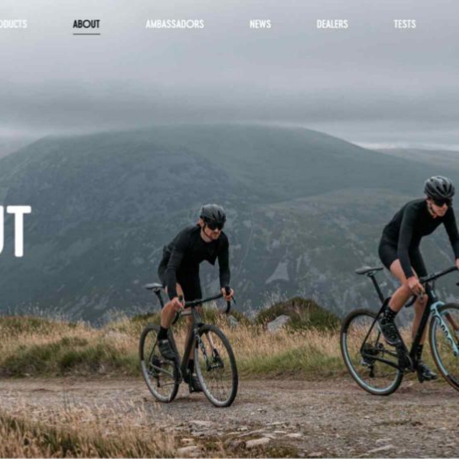 Rondo Creme NS Bikes Octane One Poland e-commerce and market deployment by Anything Marketing